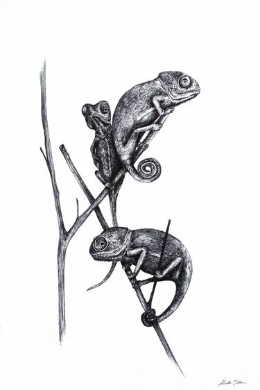 Print of Animal Drawings by Mirella Dantuma