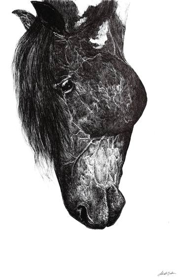 Horse head thumb