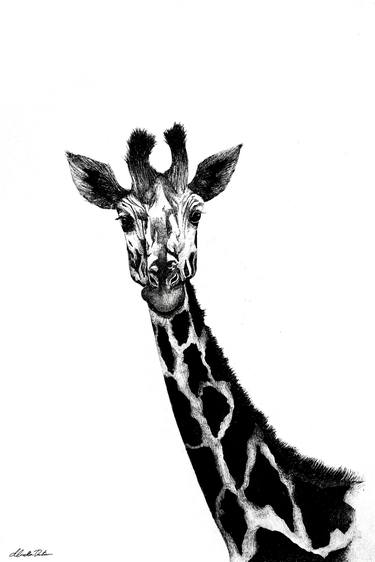 Print of Fine Art Animal Drawings by Mirella Dantuma