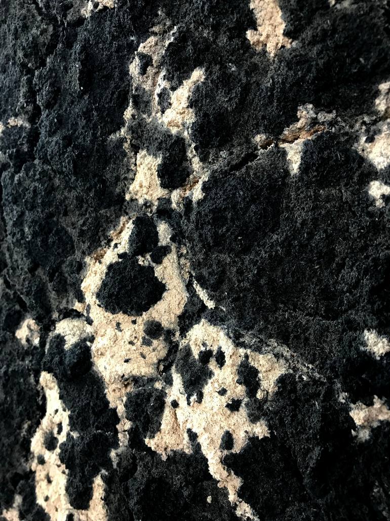 Original Black & White Abstract Painting by Joanna Morani