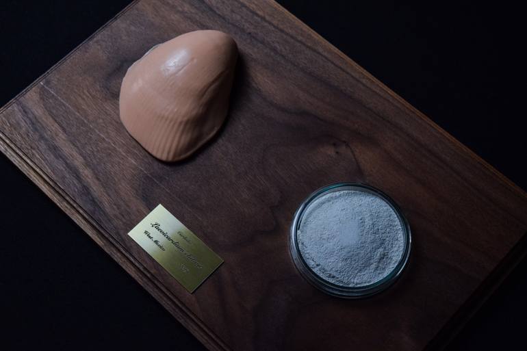 Original Conceptual Seascape Sculpture by Kim Gromoll
