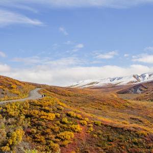 Collection Alaska