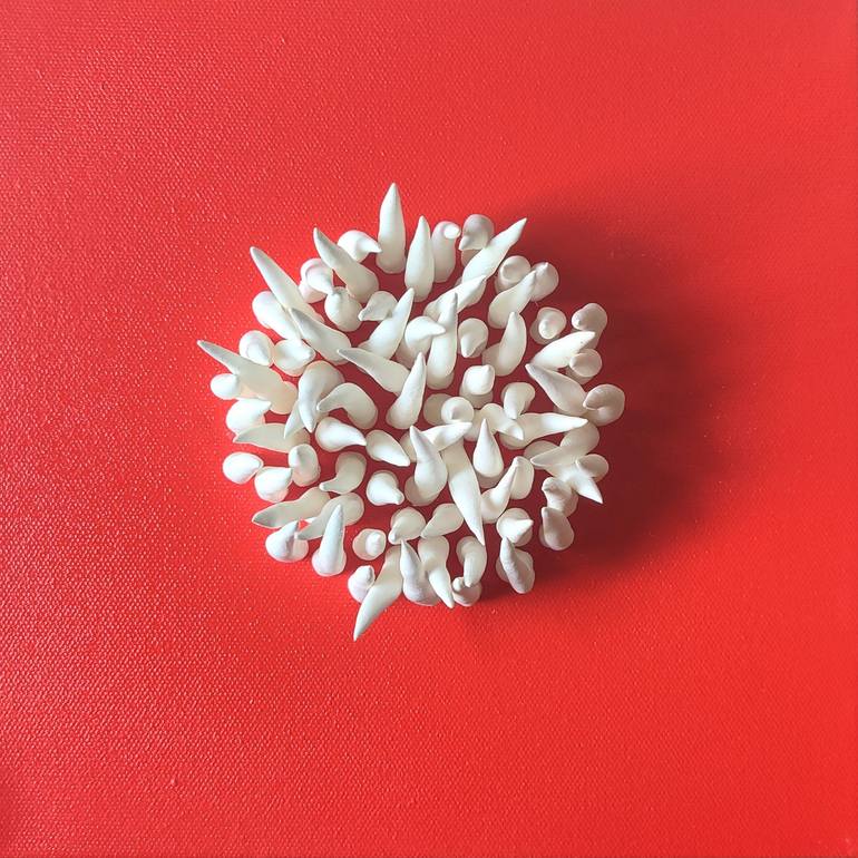 Coral wall art, white clay wall sculpture, 3D artwork by Art By Natasha  Kanevski