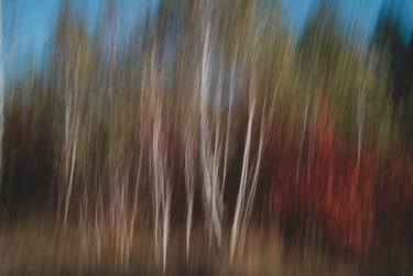Original Impressionism Abstract Photography by Oleksii Konchenko