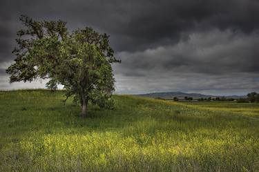 Original Fine Art Landscape Photography by Arup Biswas