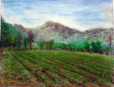 Original Impressionism Landscape Paintings by Shahzad Anwar