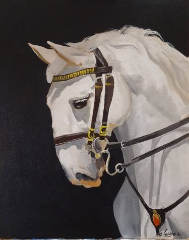 white horse portrait thumb