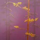 Collection Gallery Wall Art