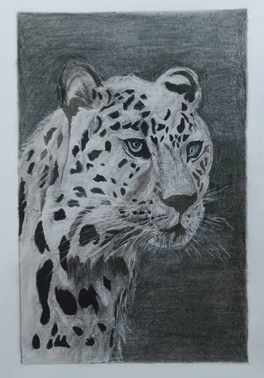 Original Realism Animal Drawings by NILANJI PERERA