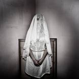 Collection 100 Curators Collection