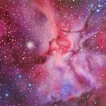 Cotton Candy by Tanya Levina