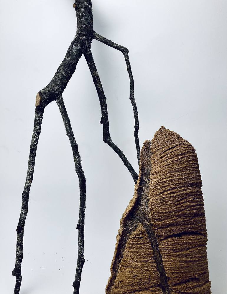 Original Minimalism Nature Sculpture by Ondřej Bělica
