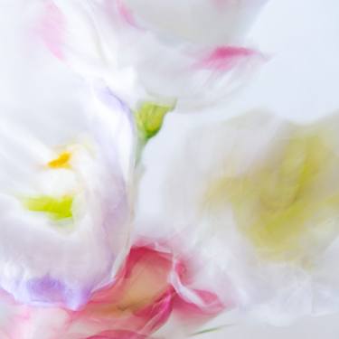 Original Fine Art Floral Photography by Olena Zubach