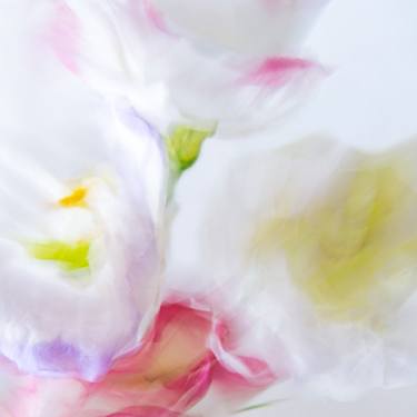 Original Floral Photography by Olena Zubach