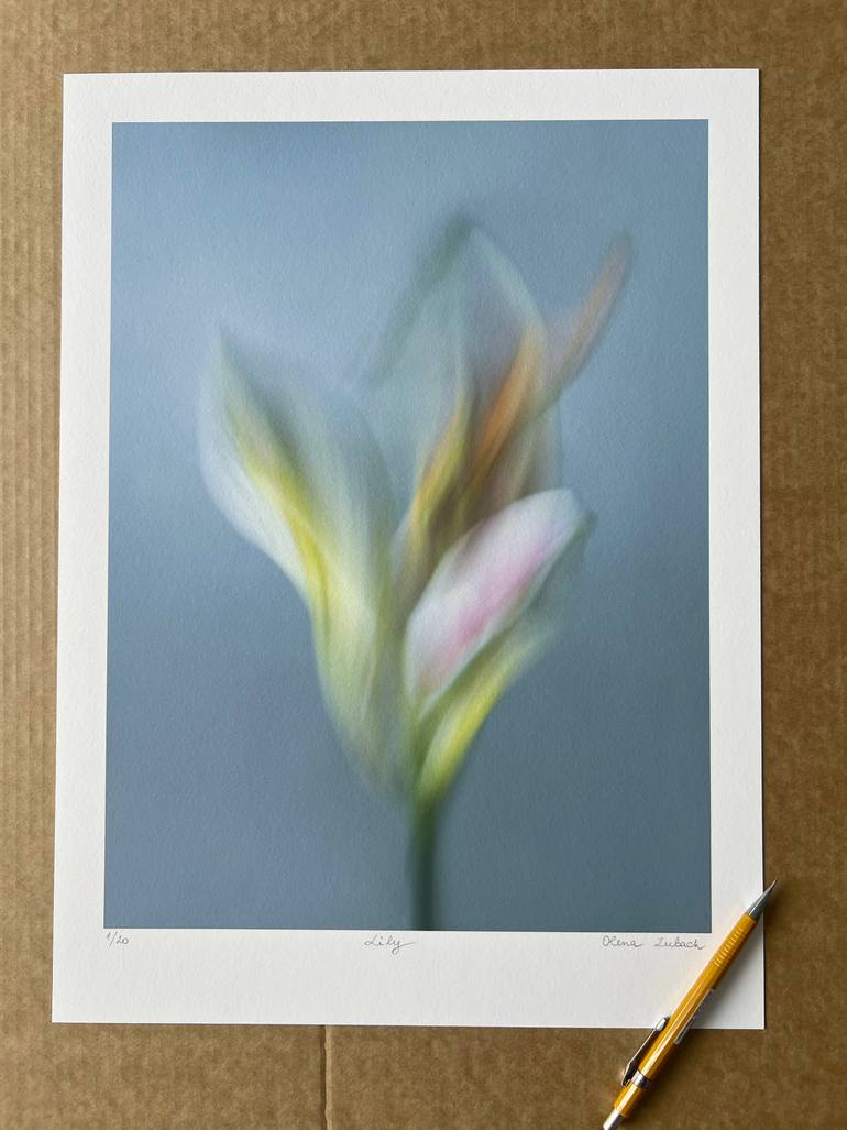 Original Contemporary Botanic Photography by Olena Zubach