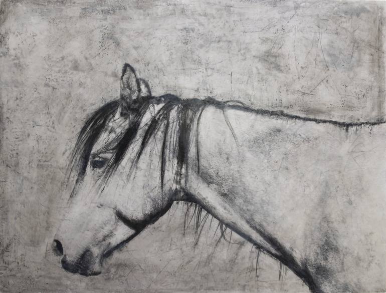 Original Black & White Horse Mixed Media by andrea Rowan