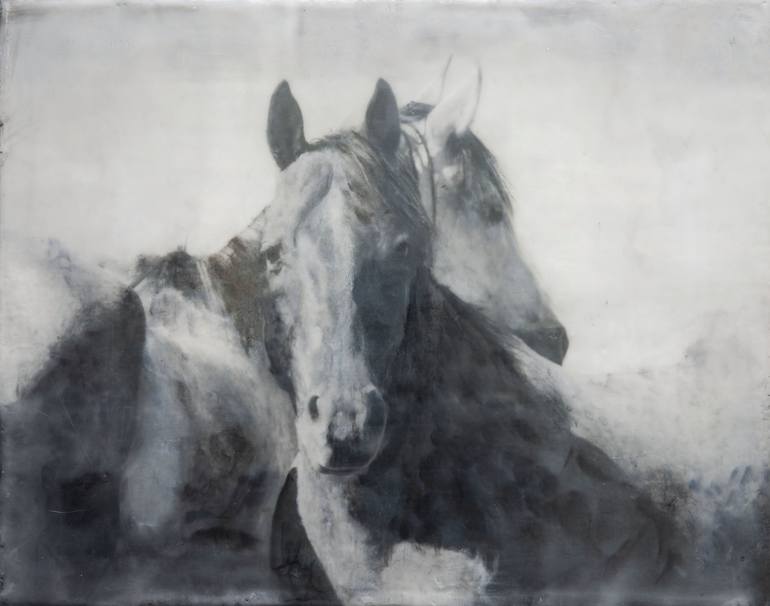 Original Black & White Horse Mixed Media by andrea Rowan