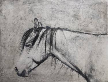 Print of Horse Mixed Media by andrea Rowan