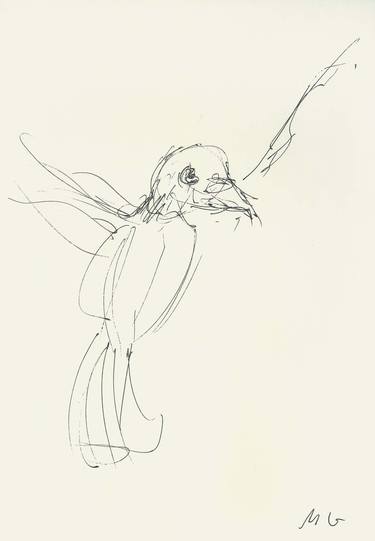 Original Minimalism Animal Drawings by Mykael Gray