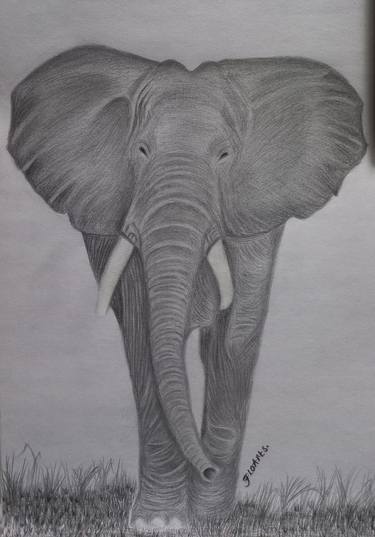 Print of Art Deco Animal Drawings by Florence Cherotich