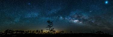 Under the Core at Big Cypress Swamp thumb