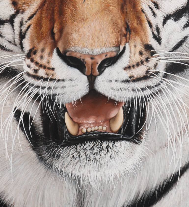 Original Photorealism Animal Drawing by Milie Lairie