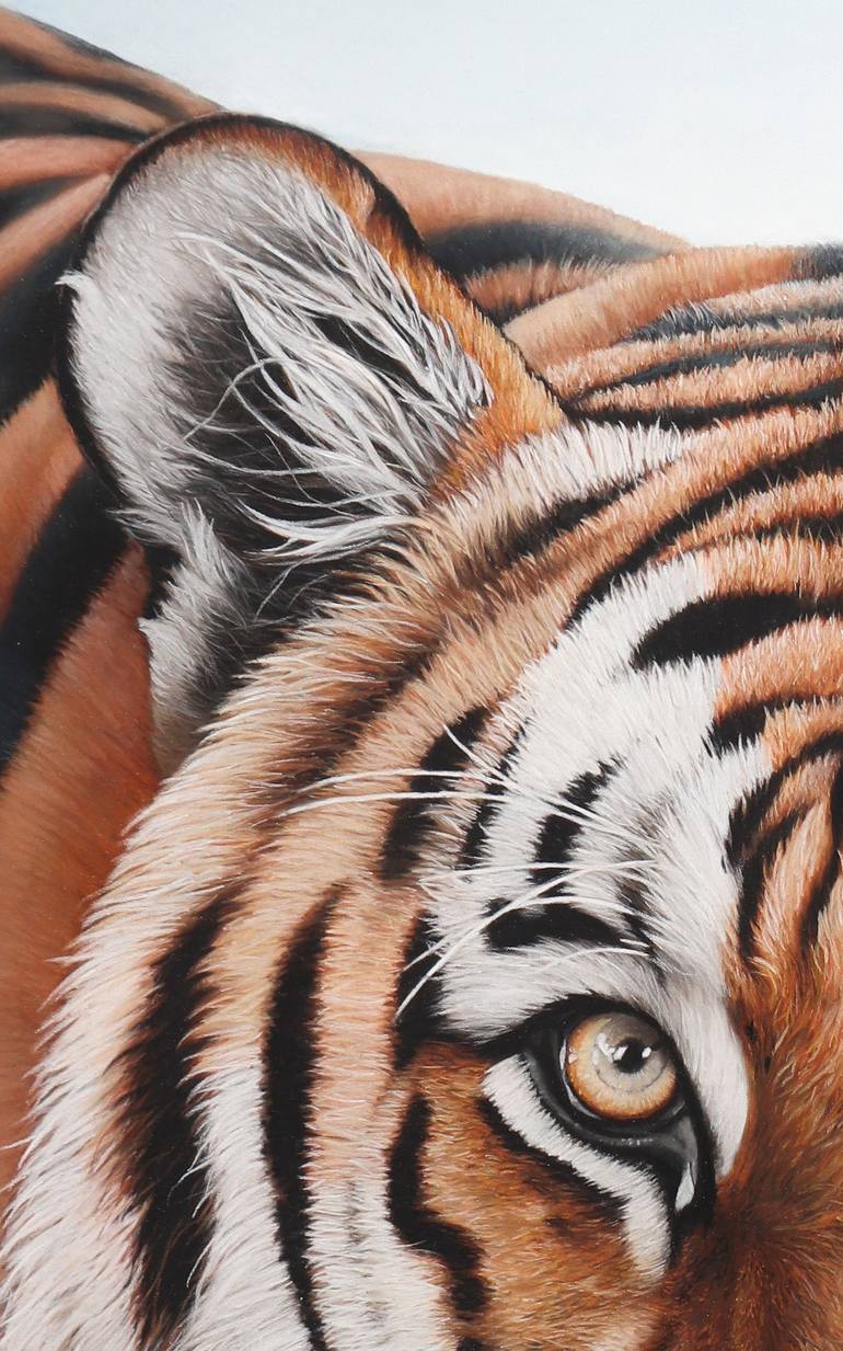 Original Photorealism Animal Drawing by Milie Lairie