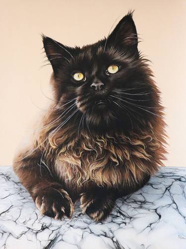 Original Photorealism Animal Drawings by Milie Lairie