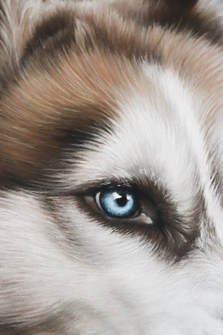 Original Photorealism Animal Drawing by Milie Lairie