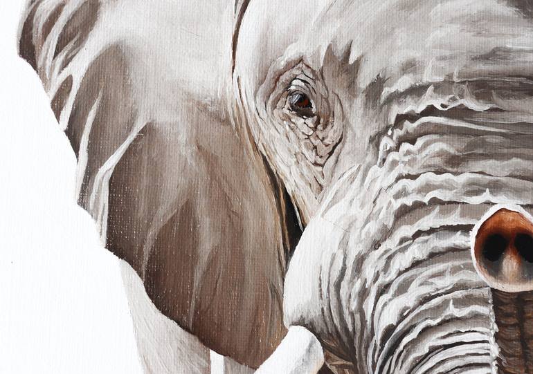 Original Photorealism Animal Painting by Milie Lairie