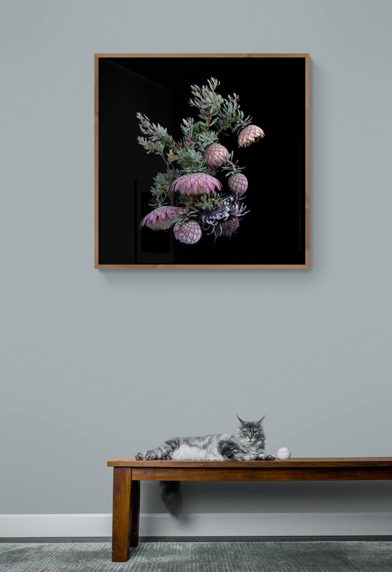 Original Other Botanic Photography by Ana-Filipa Domingues