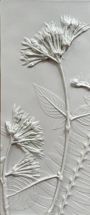 White Garden Pentas Floral Plaster Artwork thumb