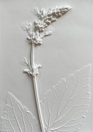 White Salvia Floral Plaster Wall Art thumb