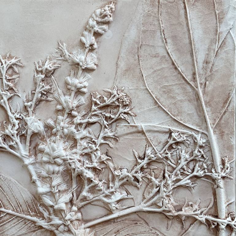 Pentas Flower Plaster Imprint Casting - Print