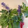 Purple Salvia from the garden.  The clay has been rolled flat and the flowers have been prepared for use.