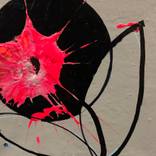 Pink Blossoming Through Black Circle (one hit with a sledgehammer) by Chris Crewe