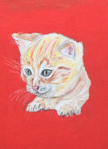 cat in pastel pencils thumb