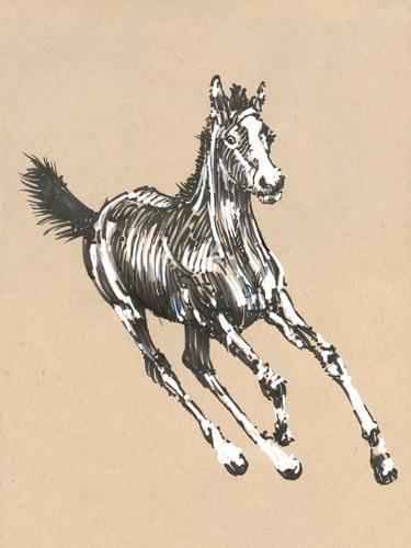 Original Illustration Horse Drawings by Peter Farago