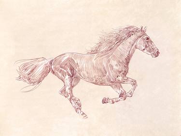 Original Figurative Horse Drawings by Peter Farago