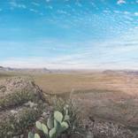 Collection Texas is the Obsession