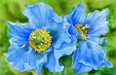 Original watercolor blue poppy flower painting thumb