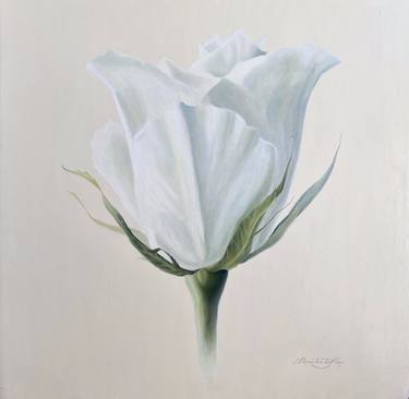 Sophie Scholl | White rose flower thumb