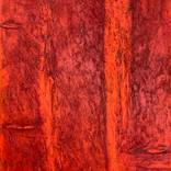 Blazing With Courage Through Life by Joanna Beckett
