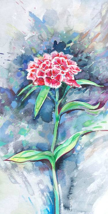 Sweet William - red flower thumb