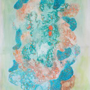 Collection New This Week 02-02-2026