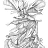 Collection Spotlight on LA