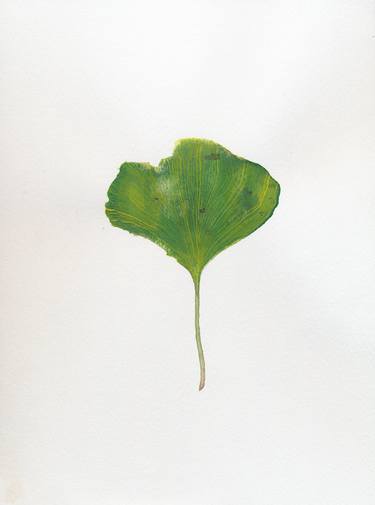 Ginko leaf – Jardin de plantes Nantes thumb