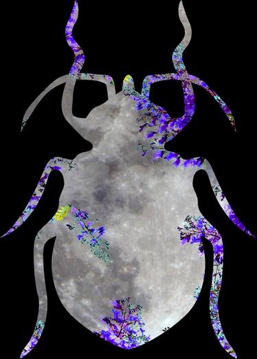 Moon Lit Beetle thumb