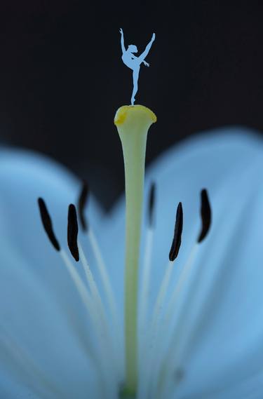 Dance of the Soul - Photo with a ballerina on a flower thumb