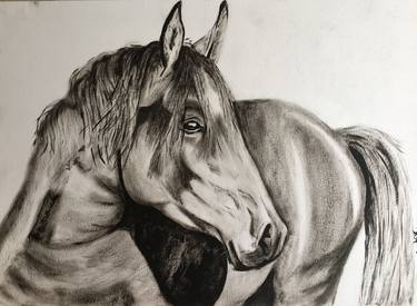 black & white horse thumb
